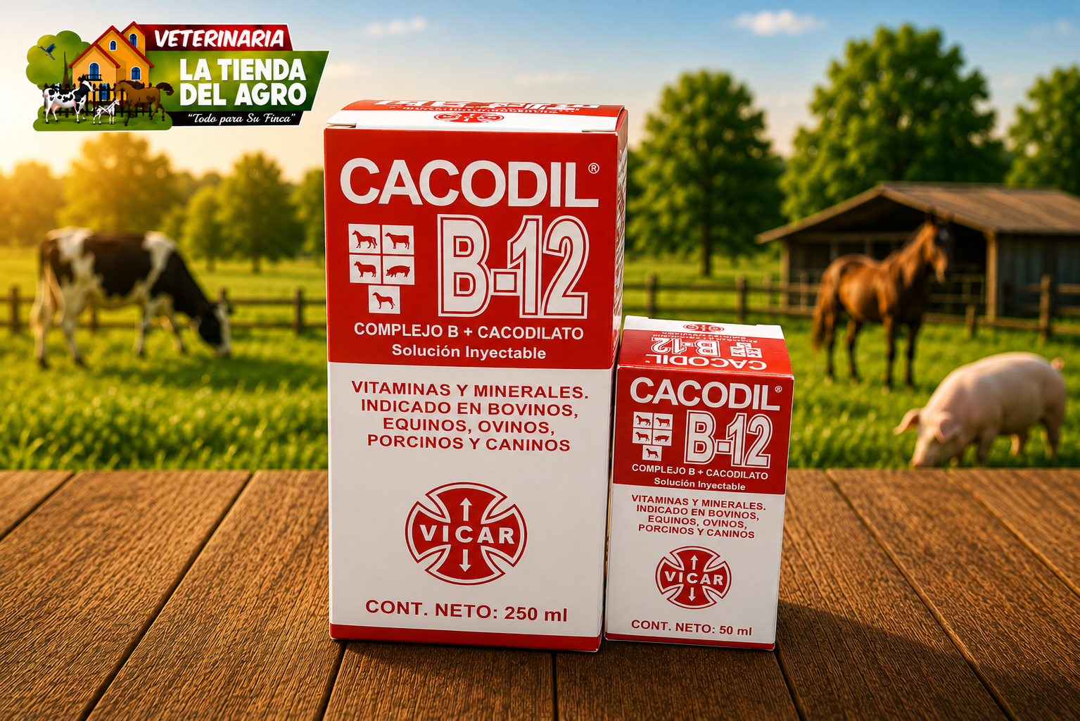 CACODIL B - 12